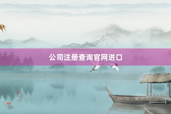 公司注册查询官网进口